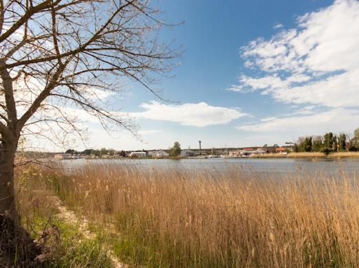 Alexis Apartament Dziwnów Buitenkant foto